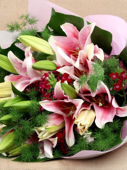 Bloomed (L03)