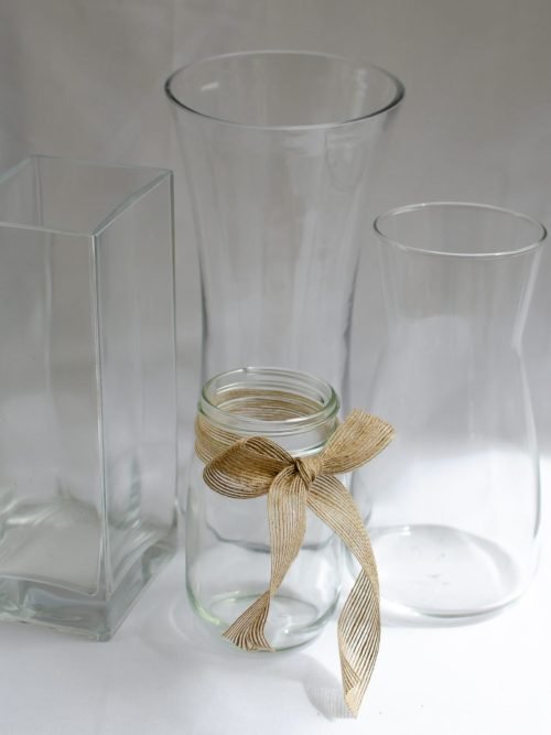 Freestyle in Vase/Jar (R109) 13 Freestyle in Vase/Jar (R109)