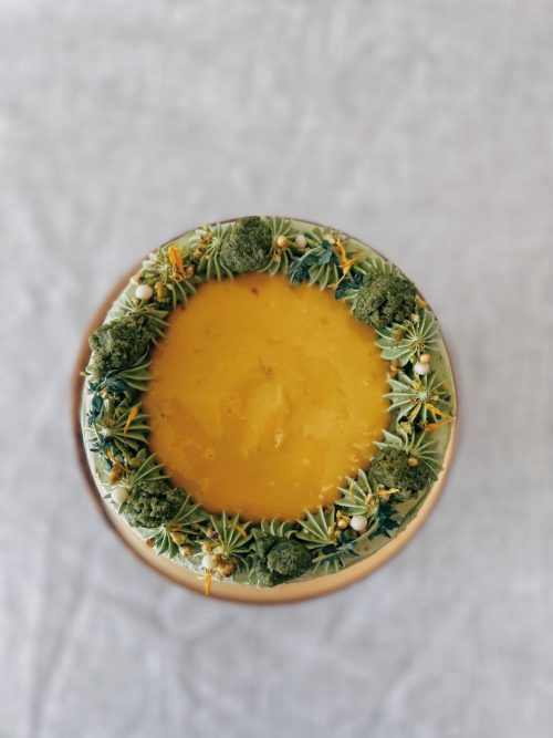 Uji matcha mango top